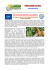 newsletter 32-2013
