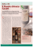 Il Barolo chinato Cocchi