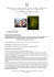 Lamberti Anatomia Artistica Anatomia dell`immagine 16-17