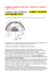 Scarica le istruzioni in formato pdf