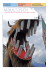 Ausgabe Nr. 01/07
