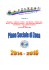 PIANO DI ZONA 2014 - 2016 ( 9 Mb)