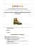 Scarpa La Sportiva TRANGO GUIDE EVO GTX giallo Cod.11LYB
