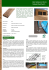 DECKING IN PINO TERMOTRATTATO