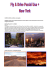 itinerario fly drive parchi + Nyc