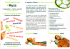 Tutti pazzi per ^cervicale ``^^§fe insonnia `I trionimuscolari di schiena