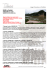Programma in PDF