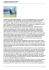 Articolo Strill - Società Sportiva Calabria