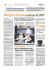 Alinghi e Oracleconfronto nel 2009?