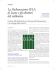 La Dichiarazione IFLA di Lione e gli obiettivi del millennio