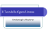TFU – CIFRIC – Master in Psicodiagnostica – III Modulo