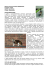 Nome comune: GATTO DOMESTICO (Inglese: domestic cat)