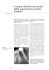 Arnaldo Castellucci, MD, DDS