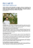 Andrea Mattei, talento da Chef