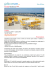Stampa PDF