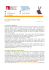 pdf Newsletter 13