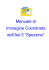 Manuale di immagine coordinata