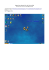 Puppy Linux (Precise) Live da CD o da USB (Si può usare su PC