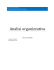 Analisi organizzativa - Azienda USL 1 di Massa e Carrara
