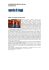 L`AGENZIA DI VIAGGI – sito Web 30 Maggio 2013