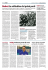 Giornale di Brescia 22102013