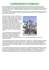 Condensazione Criogenica - Process Engineering Manual