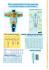 Visualizza il file in formato pdf