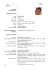 Curriculum Vitae Europeo di STEFANIA CAIRO