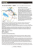Scarica il file PDF