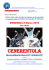 Scarica la circolare