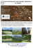 parco naturale del sasso simone e simoncello …….. in camper