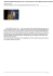 director gabriele muccino will be “playing the