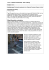 Year 11 Italian Scholarship: Task 2 (blog)