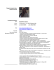 VIA RIGOPIANO N° 119, 65124 Pescara, Italia cell. 335.8135095
