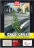 Scarica il PDF