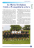Sport - Comune di Castelfranco Veneto