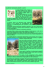 valori del paesaggio agrario: l`olivo