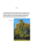 ACERO In autunno le foglie di molti aceri, dall`Acer platanoides all