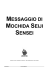 Mochida Seiji Sensei