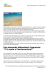 Scarica PDF - Vivere a Fuerteventura