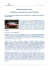 (pdf 54.4 Kb)