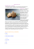 PER IL PLUMCAKE ALLE VERDURE
