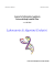 Informatica Applicata