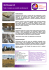 I2L professional product IT flyer