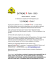 regolamento 2013 EXTREME 4 FUN -