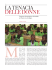 la tenacia delle donne