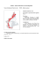 scarica pdf Scheda tipo forestale BS20X