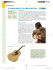 La chitarra acustica e la chitarra elettrica