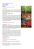 scheda pdf