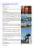 scheda pdf
